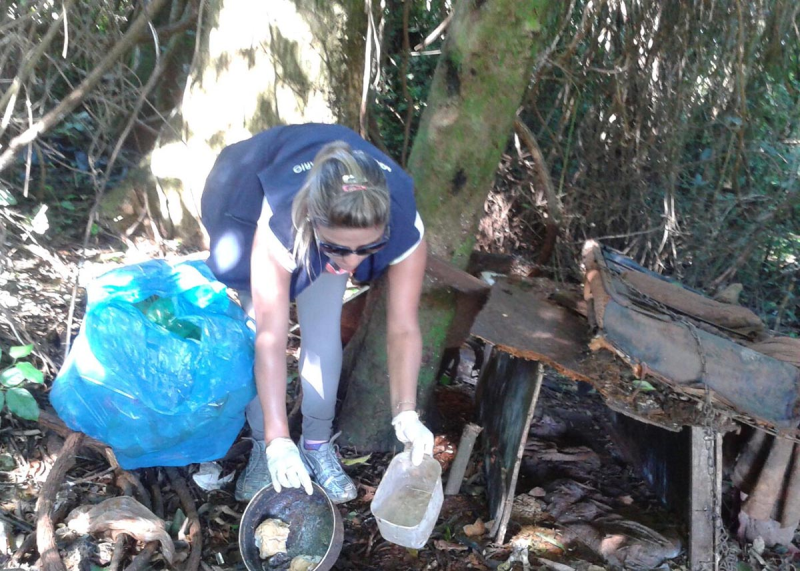 MUNICÍPIO ESTÁ COM INFESTAÇÃO DO MOSQUITO AEDES AEGYPTI